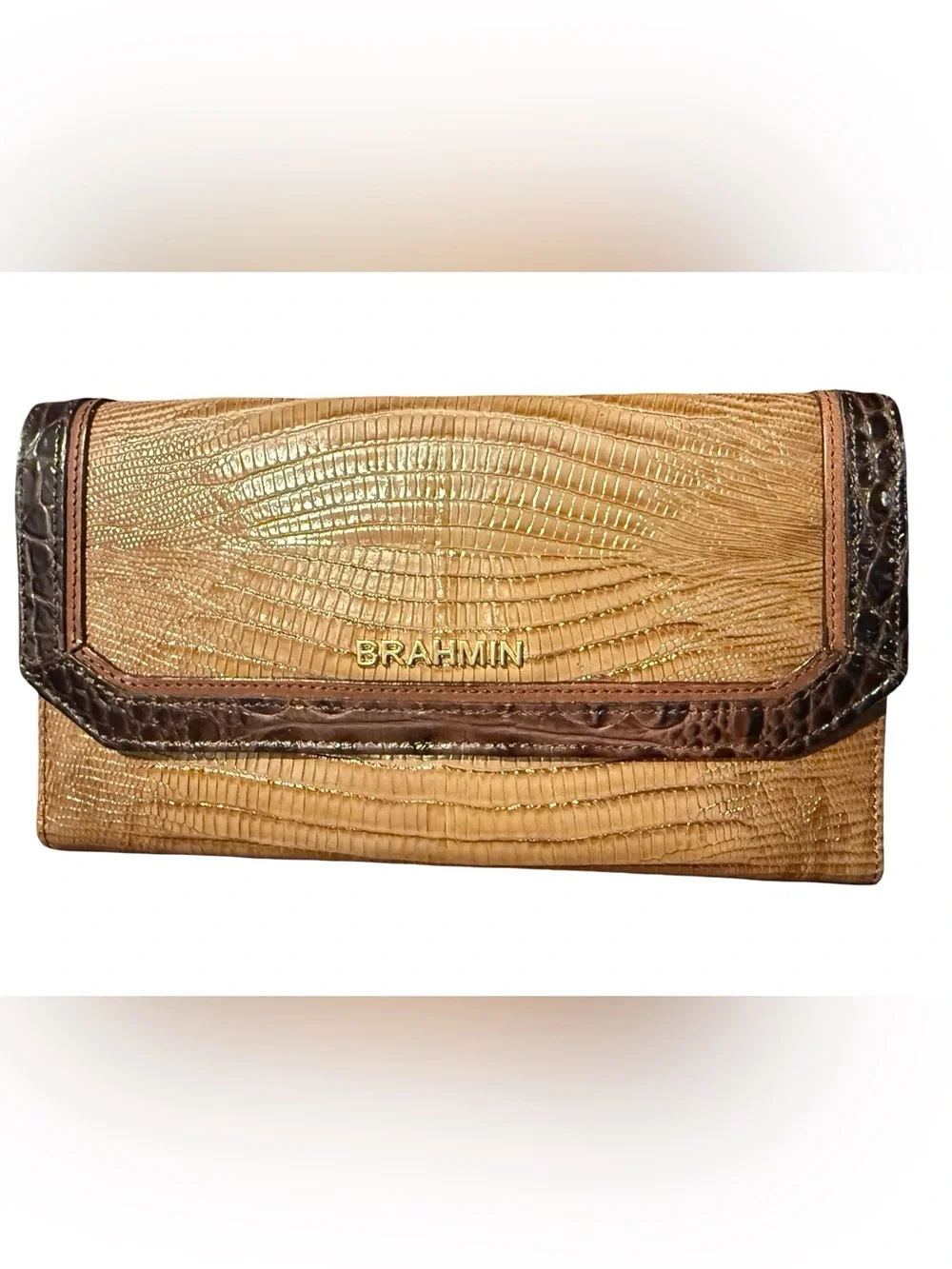 Brahmin this checkbook